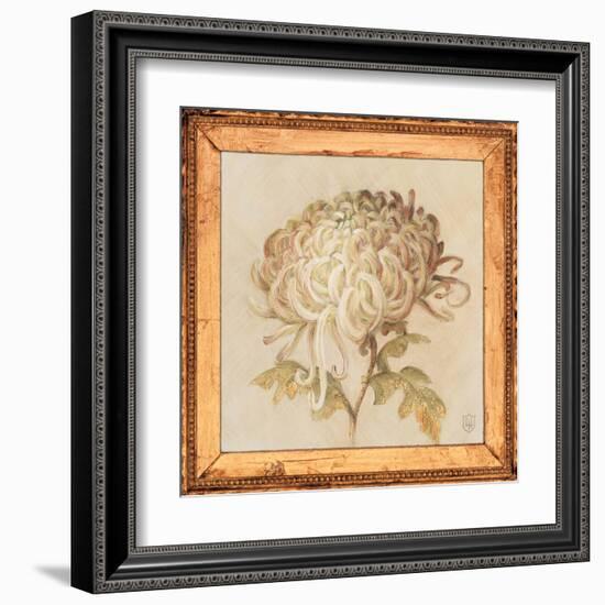 Chrysanthemum Floret Detail-Lauren Hamilton-Framed Art Print