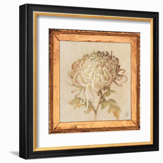 Chrysanthemum Floret Detail-Lauren Hamilton-Framed Art Print