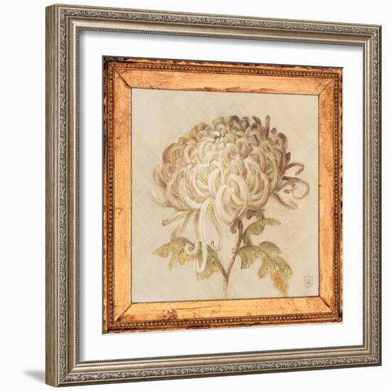 Chrysanthemum Floret Detail-Lauren Hamilton-Framed Art Print