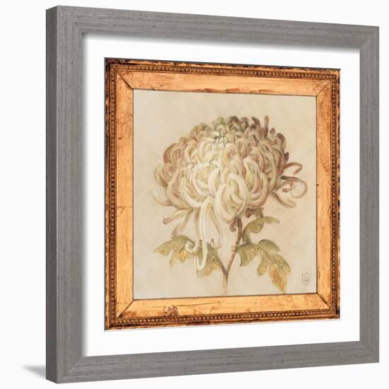 Chrysanthemum Floret Detail-Lauren Hamilton-Framed Art Print