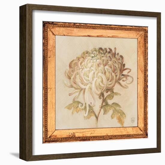 Chrysanthemum Floret Detail-Lauren Hamilton-Framed Art Print