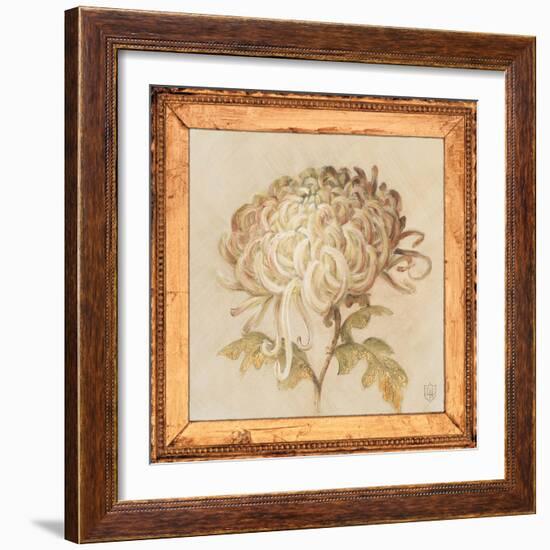 Chrysanthemum Floret Detail-Lauren Hamilton-Framed Art Print