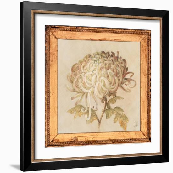 Chrysanthemum Floret Detail-Lauren Hamilton-Framed Art Print