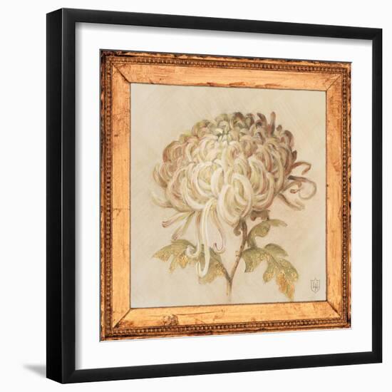 Chrysanthemum Floret Detail-Lauren Hamilton-Framed Art Print