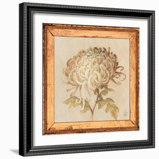 Chrysanthemum Floret Detail-Lauren Hamilton-Framed Art Print