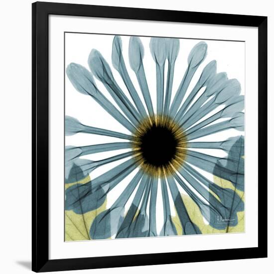 Chrysanthemum H68-Albert Koetsier-Framed Premium Giclee Print