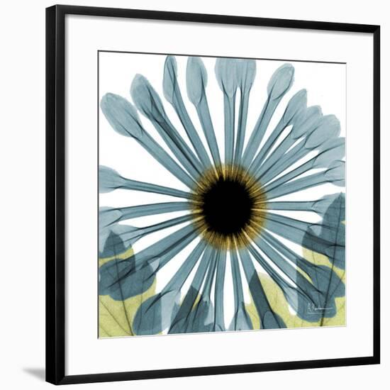 Chrysanthemum H68-Albert Koetsier-Framed Premium Giclee Print