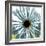 Chrysanthemum H68-Albert Koetsier-Framed Premium Giclee Print