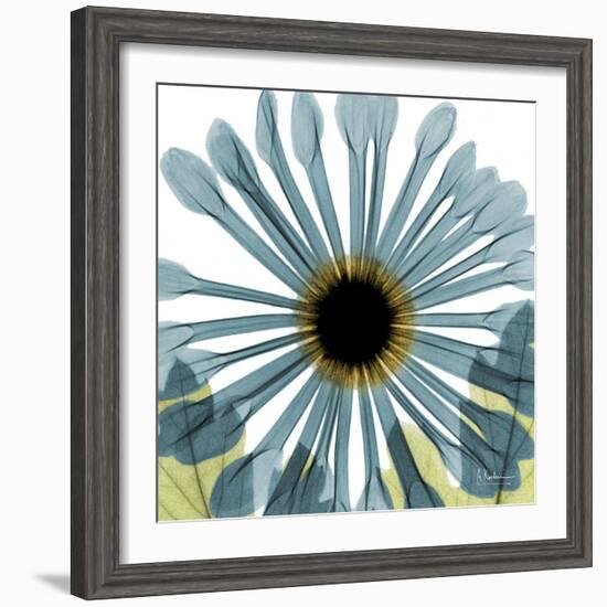 Chrysanthemum H68-Albert Koetsier-Framed Premium Giclee Print