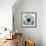 Chrysanthemum H68-Albert Koetsier-Framed Premium Giclee Print displayed on a wall