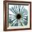 Chrysanthemum H68-Albert Koetsier-Framed Premium Giclee Print