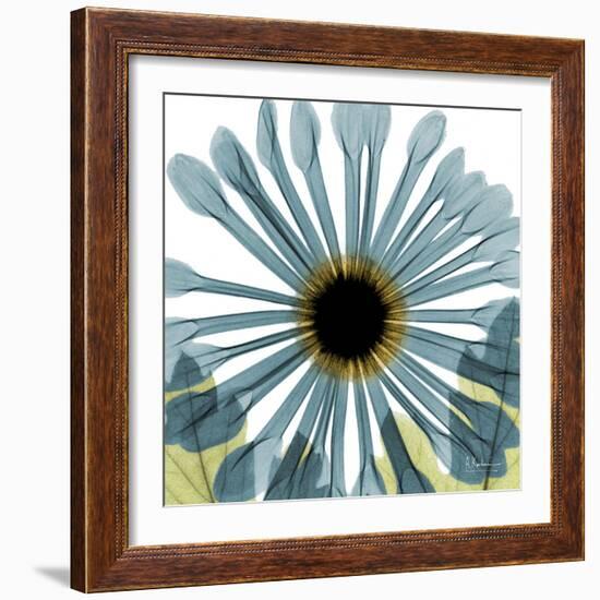 Chrysanthemum H68-Albert Koetsier-Framed Premium Giclee Print