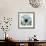 Chrysanthemum H68-Albert Koetsier-Framed Premium Giclee Print displayed on a wall