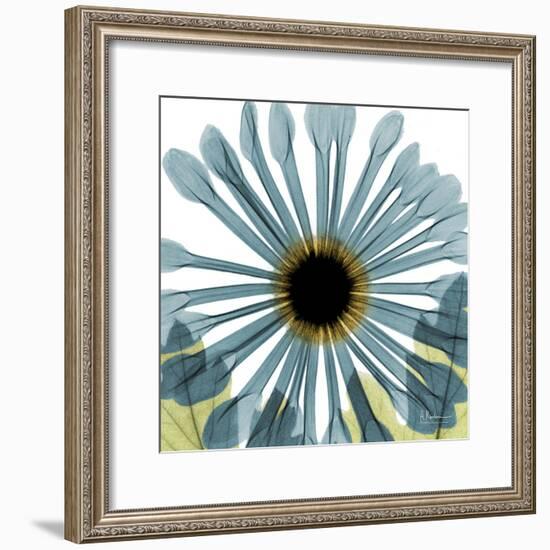 Chrysanthemum H68-Albert Koetsier-Framed Premium Giclee Print