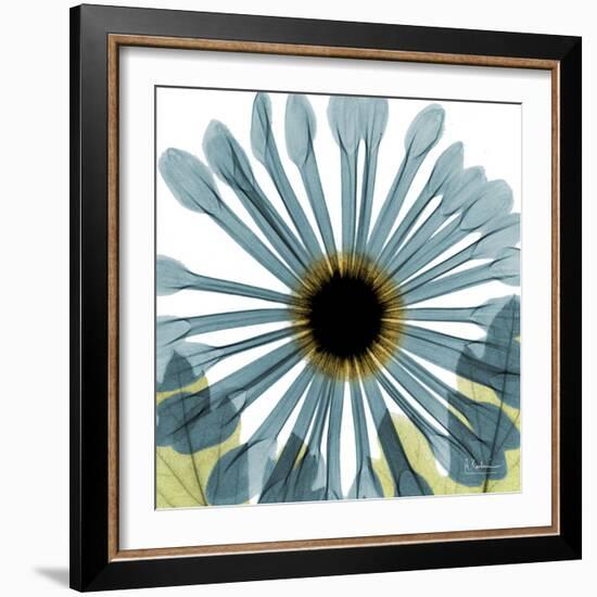 Chrysanthemum H68-Albert Koetsier-Framed Premium Giclee Print