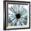 Chrysanthemum H68-Albert Koetsier-Framed Premium Giclee Print