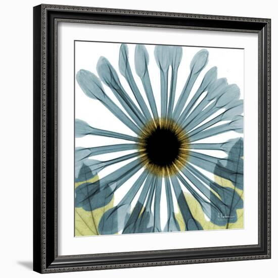 Chrysanthemum H68-Albert Koetsier-Framed Premium Giclee Print