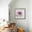 Chrysanthemum Hope-Albert Koetsier-Framed Art Print displayed on a wall