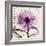 Chrysanthemum Hope-Albert Koetsier-Framed Art Print