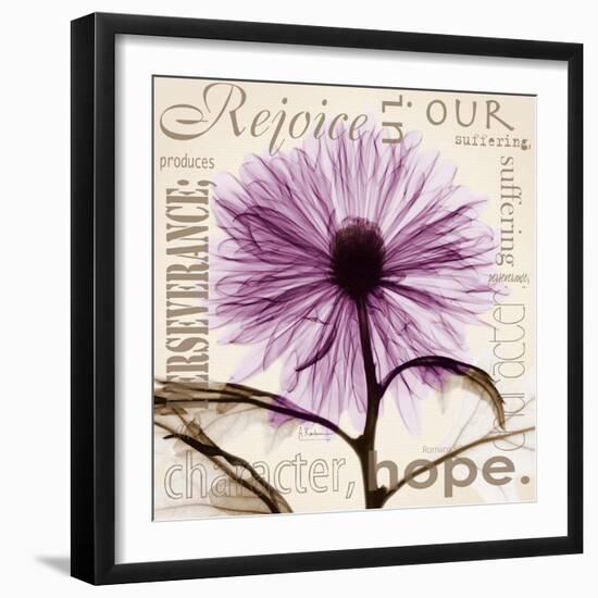 Chrysanthemum Hope-Albert Koetsier-Framed Art Print