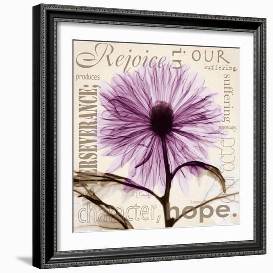 Chrysanthemum Hope-Albert Koetsier-Framed Art Print