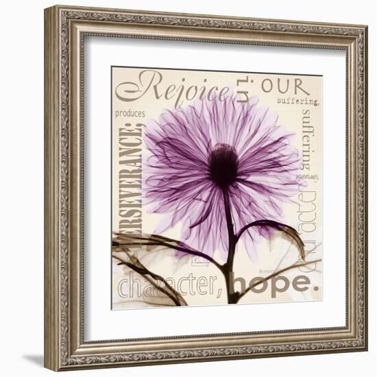 Chrysanthemum Hope-Albert Koetsier-Framed Art Print