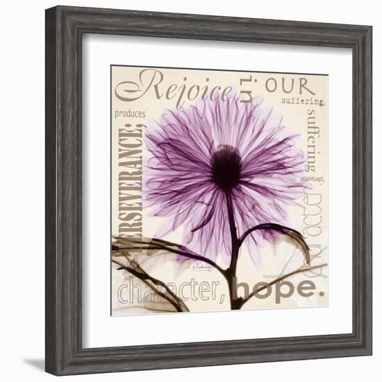 Chrysanthemum Hope-Albert Koetsier-Framed Art Print