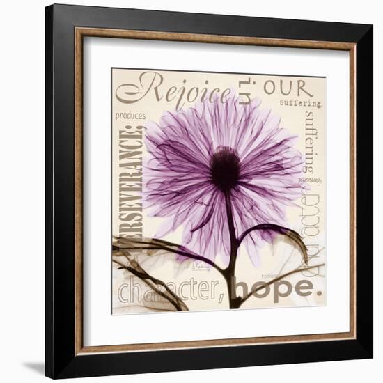 Chrysanthemum Hope-Albert Koetsier-Framed Art Print