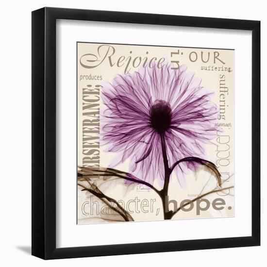 Chrysanthemum Hope-Albert Koetsier-Framed Art Print