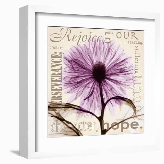 Chrysanthemum Hope-Albert Koetsier-Framed Art Print
