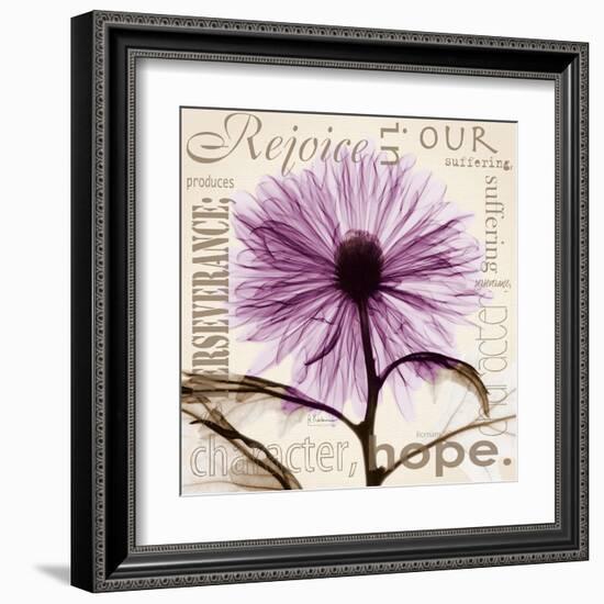 Chrysanthemum Hope-Albert Koetsier-Framed Art Print