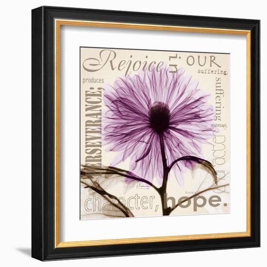 Chrysanthemum Hope-Albert Koetsier-Framed Art Print