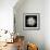 Chrysanthemum I-Jim Christensen-Framed Photographic Print displayed on a wall