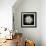 Chrysanthemum I-Jim Christensen-Framed Photographic Print displayed on a wall