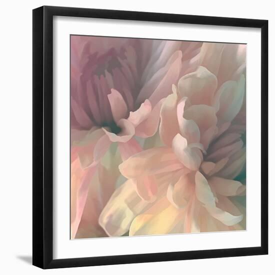 Chrysanthemum I-David Pollard-Framed Art Print