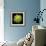 Chrysanthemum II-Jim Christensen-Framed Photographic Print displayed on a wall