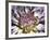 Chrysanthemum in Bloom-null-Framed Photographic Print