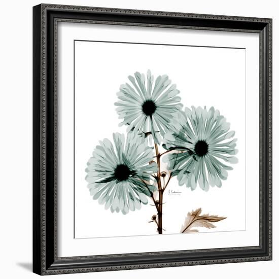 Chrysanthemum Love-Albert Koetsier-Framed Photographic Print