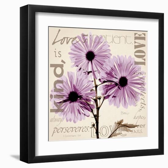 Chrysanthemum Love-Albert Koetsier-Framed Art Print