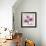 Chrysanthemum Love-Albert Koetsier-Framed Premium Giclee Print displayed on a wall