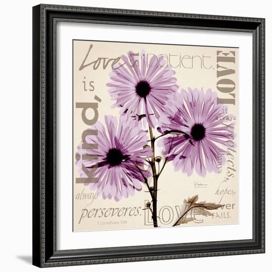 Chrysanthemum Love-Albert Koetsier-Framed Premium Giclee Print