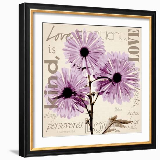 Chrysanthemum Love-Albert Koetsier-Framed Premium Giclee Print