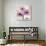 Chrysanthemum Love-Albert Koetsier-Premium Giclee Print displayed on a wall