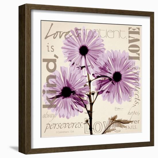 Chrysanthemum Love-Albert Koetsier-Framed Art Print