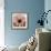Chrysanthemum Marsala-Albert Koetsier-Framed Premium Giclee Print displayed on a wall