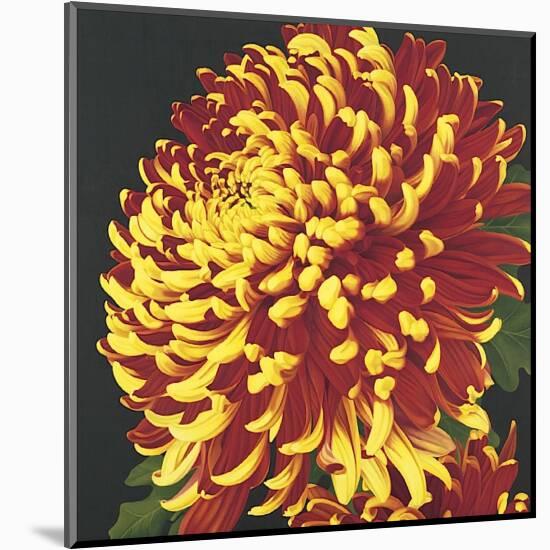 Chrysanthemum, no. 2-Elizabeth Hellman-Mounted Giclee Print