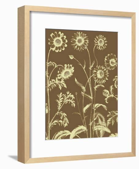 Chrysanthemum, no. 3-null-Framed Art Print