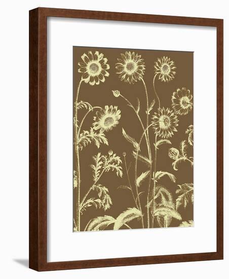 Chrysanthemum, no. 3-null-Framed Art Print