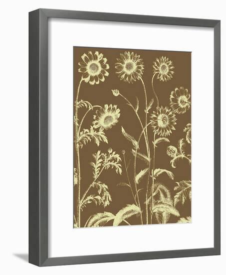 Chrysanthemum, no. 3-null-Framed Art Print