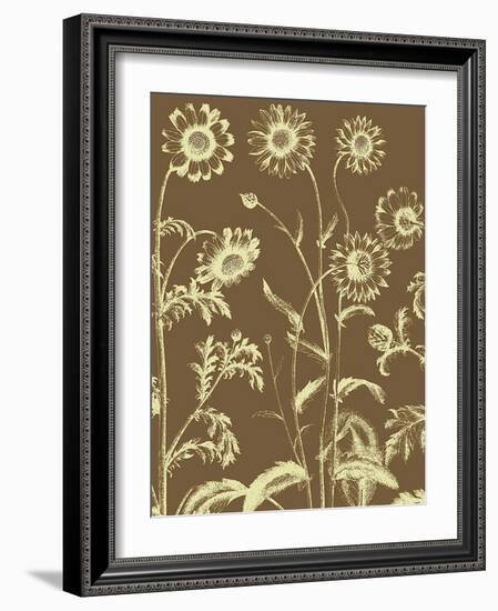 Chrysanthemum, no. 3-null-Framed Art Print